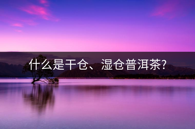 什么是干倉、濕倉普洱茶?