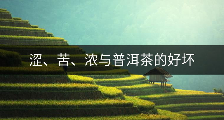 澀、苦、濃與普洱茶的好壞