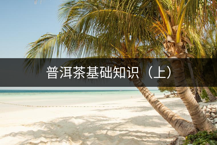 普洱茶基礎(chǔ)知識(shí)(上) 普洱茶基礎(chǔ)知識(shí)(上)