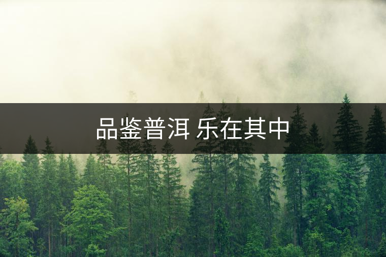 品鑒普洱 樂(lè)在其中