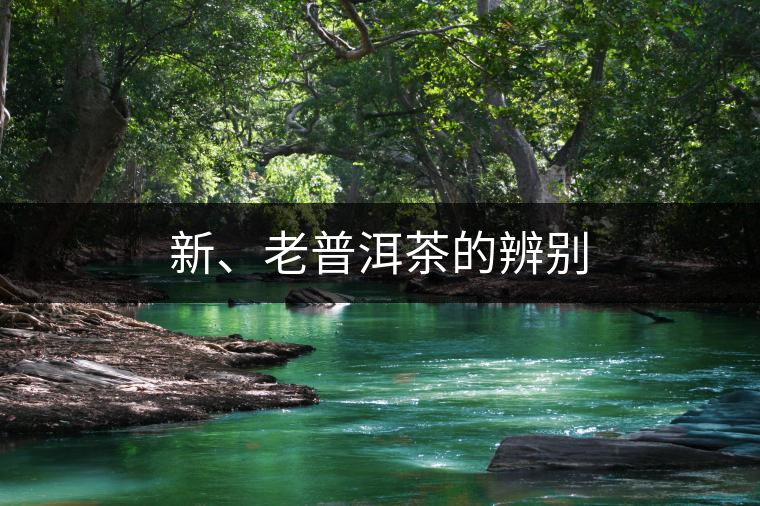 新、老普洱茶的辨別