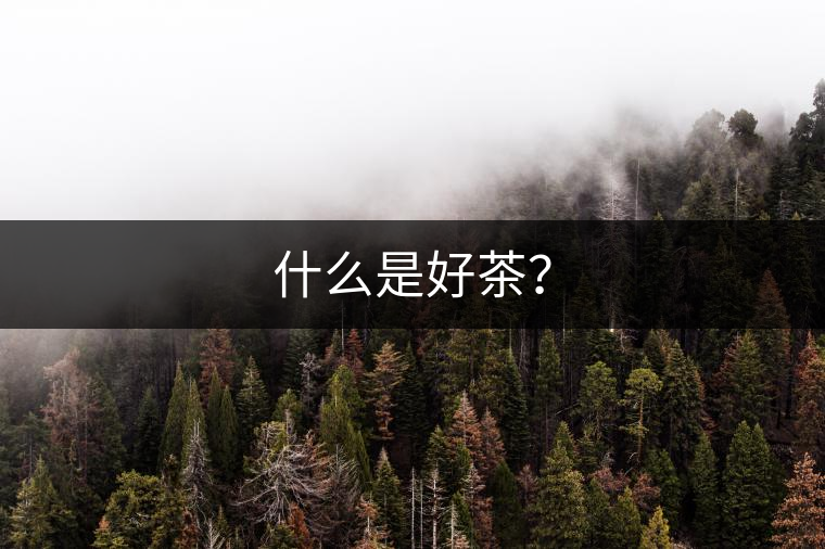 什么是好茶？