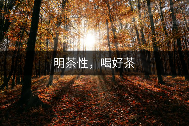 明茶性，喝好茶