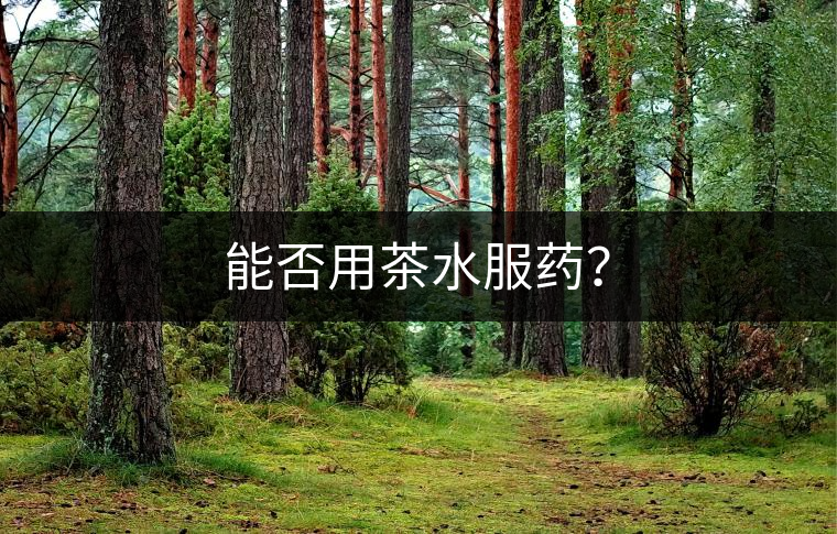 能否用茶水服藥？