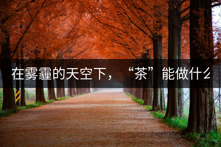 在霧霾的天空下，“茶”能做什么？
