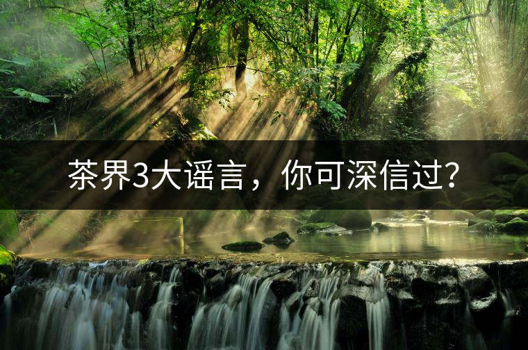 茶界3大謠言，你可深信過？