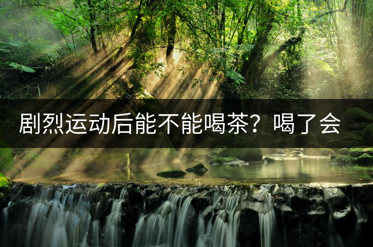劇烈運(yùn)動(dòng)后能不能喝茶？喝了會(huì)有什么不適？