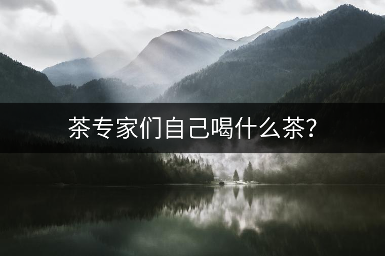 茶專家們自己喝什么茶？