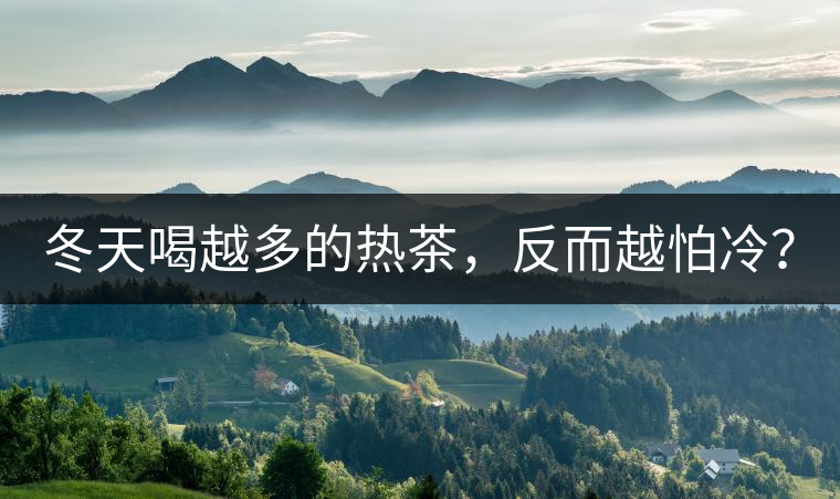 冬天喝越多的熱茶，反而越怕冷？