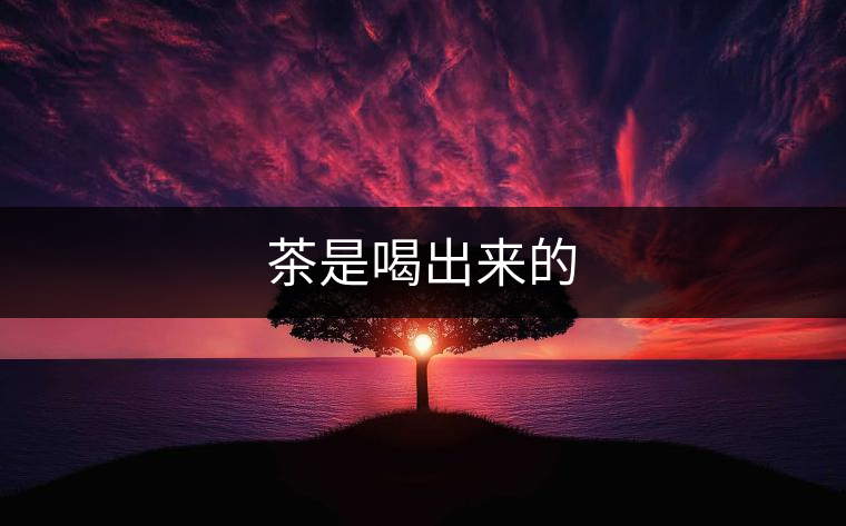 茶是喝出來的 茶是喝出來的