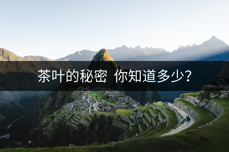 茶葉的秘密  你知道多少？