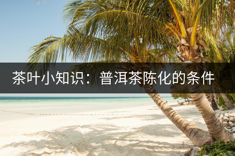 茶葉小知識(shí)：普洱茶陳化的條件和方法