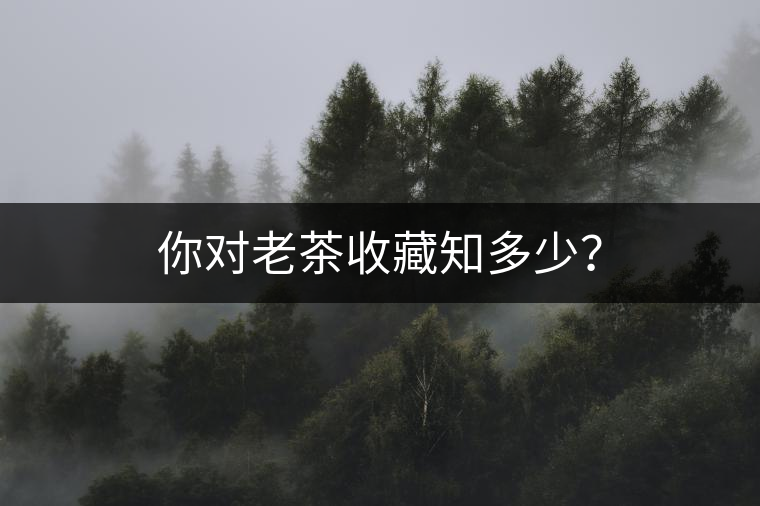 你對老茶收藏知多少？