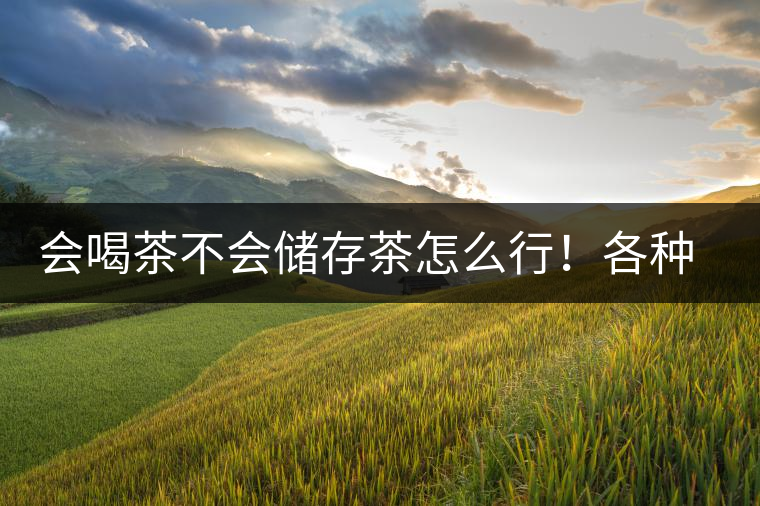 會喝茶不會儲存茶怎么行！各種存茶方法與技巧，把茶香留住