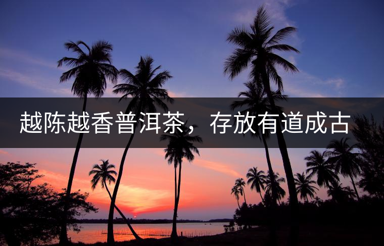 越陳越香普洱茶，存放有道成古董