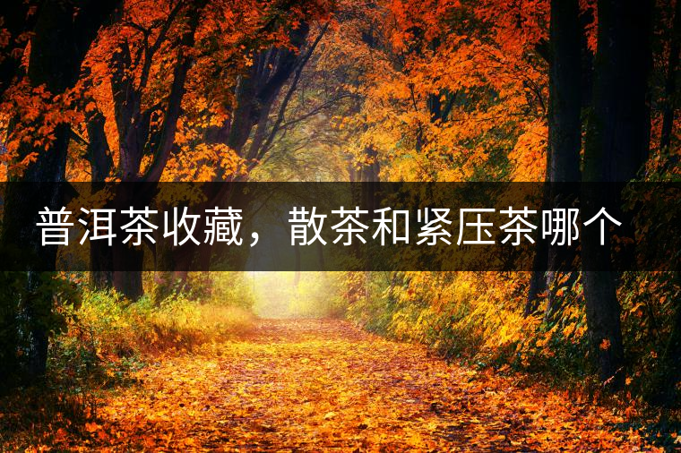 普洱茶收藏，散茶和緊壓茶哪個更好？