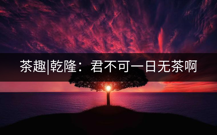 茶趣|乾?。壕豢梢蝗諢o茶啊