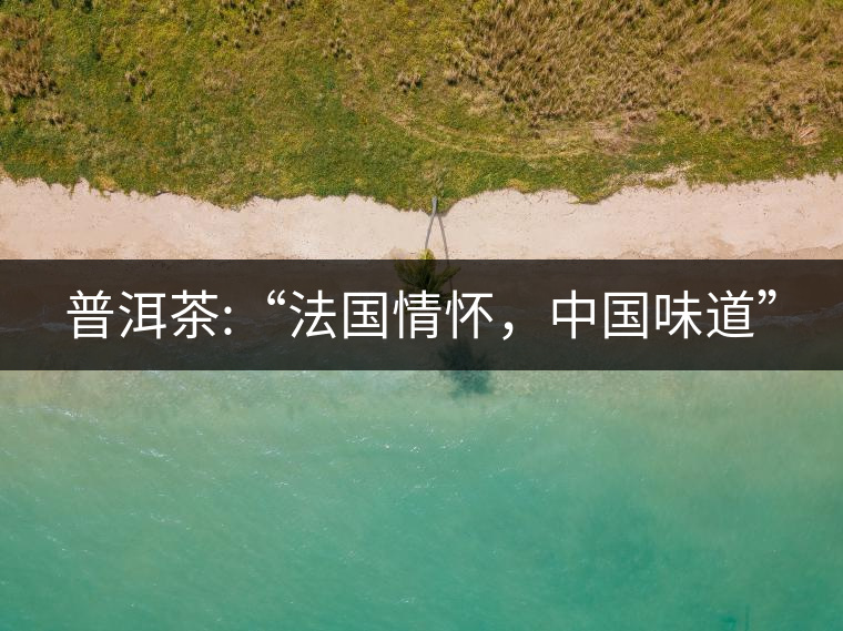 普洱茶:“法國情懷，中國味道”