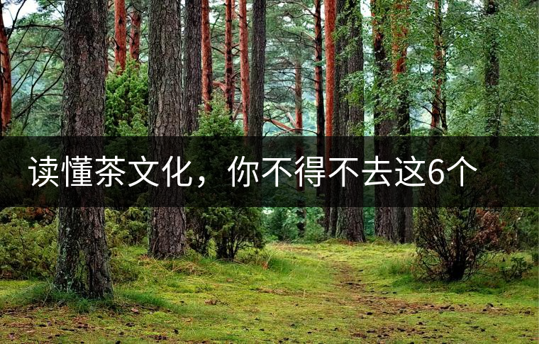 讀懂茶文化，你不得不去這6個(gè)城市