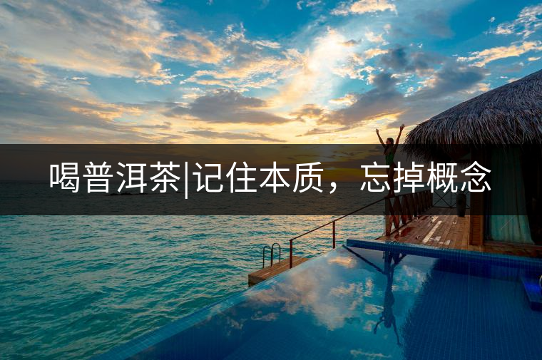 喝普洱茶|記住本質(zhì)，忘掉概念