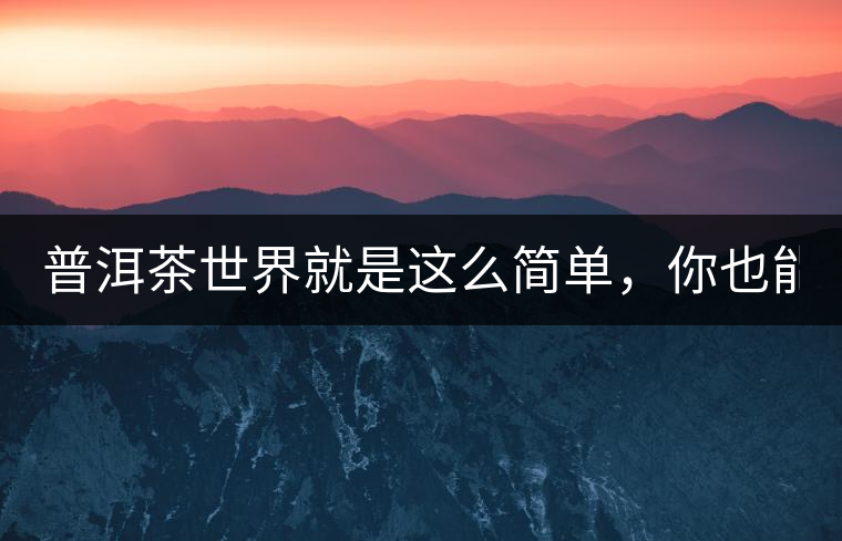 普洱茶世界就是這么簡單，你也能懂！