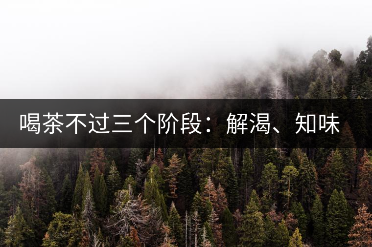 喝茶不過三個(gè)階段：解渴、知味、怡情