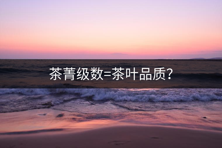 茶菁級數(shù)=茶葉品質(zhì)？