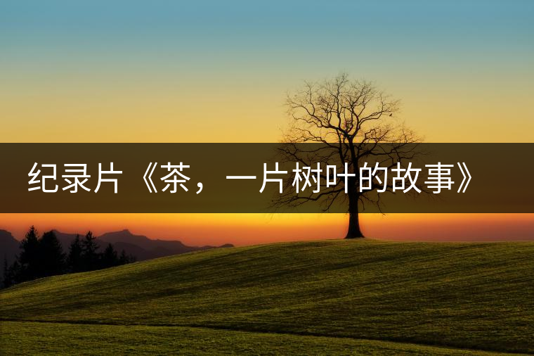 紀(jì)錄片《茶，一片樹葉的故事》 茶文化的詩意追尋