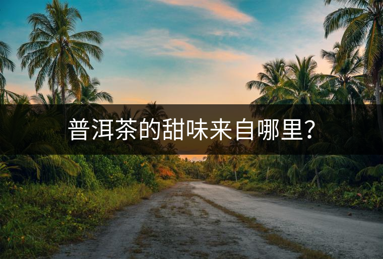 普洱茶的甜味來自哪里？