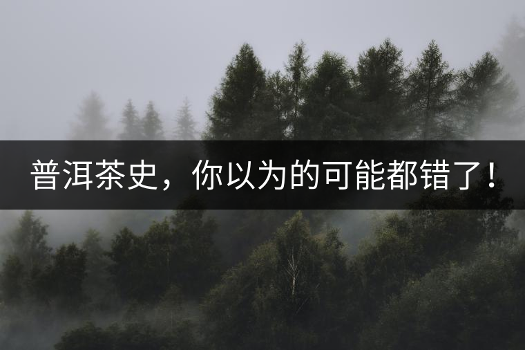 普洱茶史，你以為的可能都錯(cuò)了！