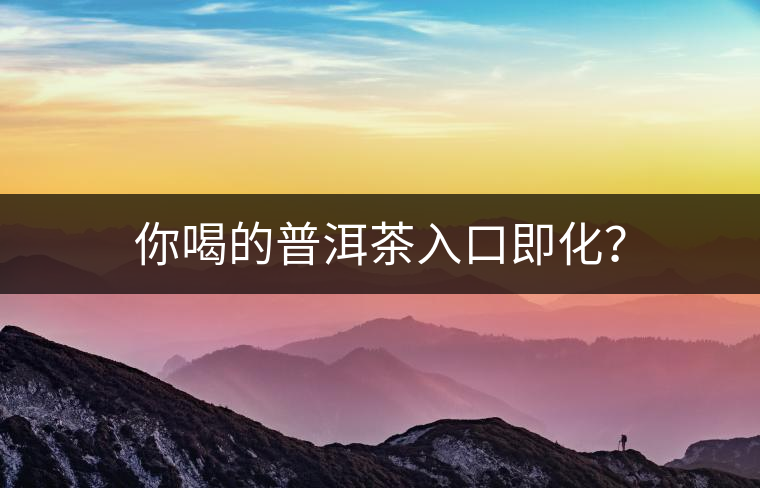 你喝的普洱茶入口即化？