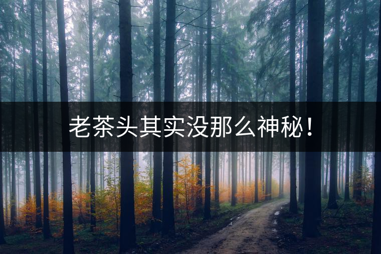 老茶頭其實(shí)沒那么神秘！