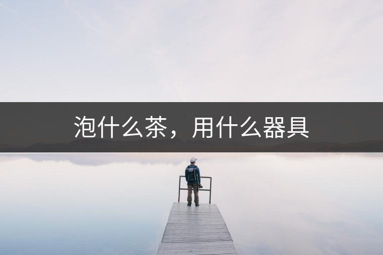 泡什么茶，用什么器具