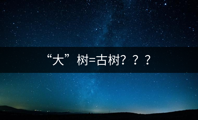“大”樹=古樹？？？