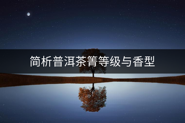 簡析普洱茶箐等級與香型 簡析普洱茶箐等級與香型