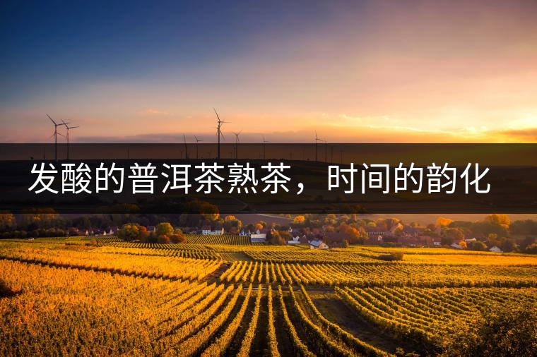 發(fā)酸的普洱茶熟茶，時間的韻化會讓它驚艷無比！