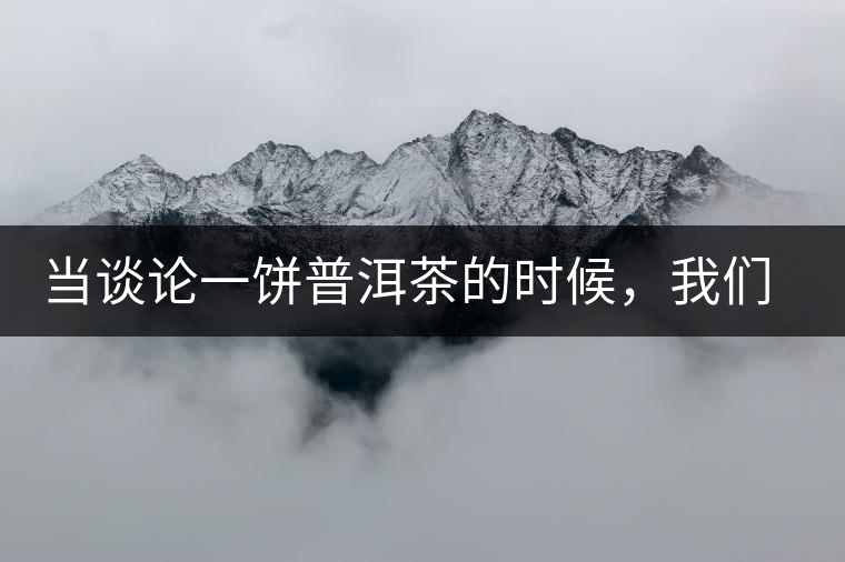 當談論一餅普洱茶的時候，我們該談些什么？