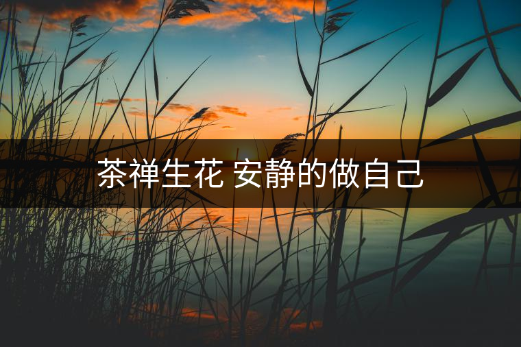 茶禪生花 安靜的做自己