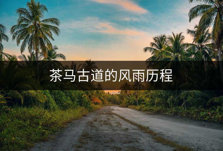 茶馬古道的風(fēng)雨歷程　