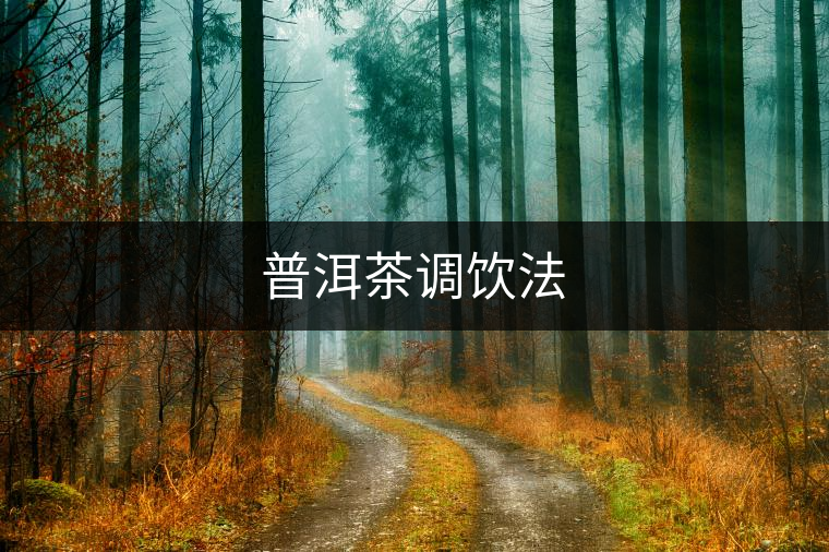 普洱茶調飲法