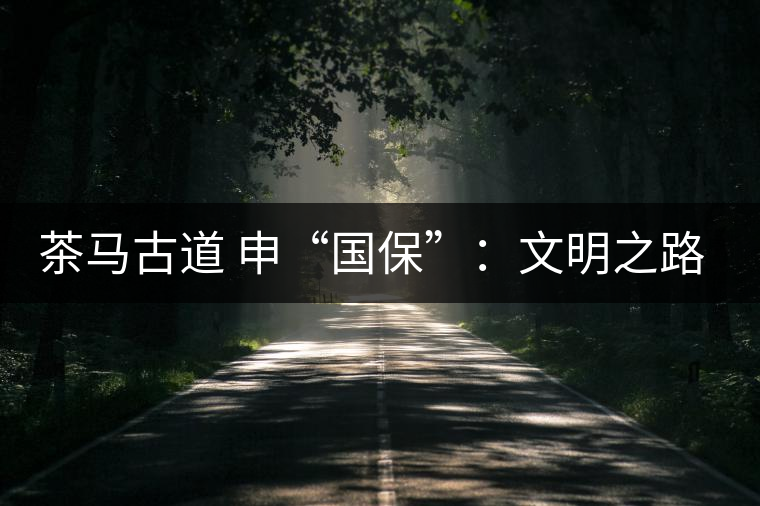 茶馬古道 申“國(guó)保”：文明之路的再發(fā)現(xiàn)