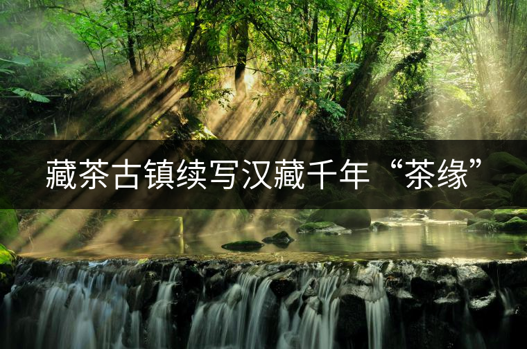 藏茶古鎮(zhèn)續(xù)寫漢藏千年“茶緣”