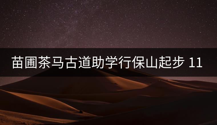 苗圃茶馬古道助學(xué)行保山起步 112名志愿者預(yù)計(jì)籌款100萬