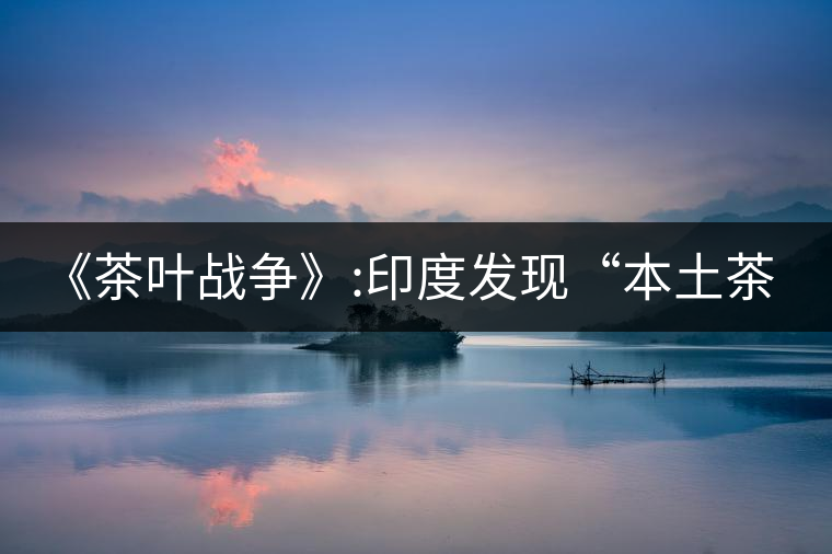 《茶葉戰(zhàn)爭》:印度發(fā)現(xiàn)“本土茶樹”