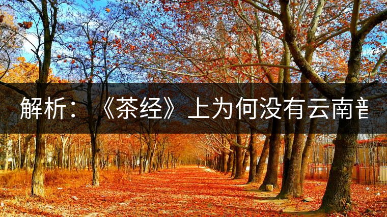 解析：《茶經(jīng)》上為何沒(méi)有云南普洱茶 ？