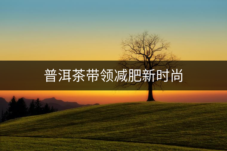 普洱茶帶領(lǐng)減肥新時尚 普洱茶帶領(lǐng)減肥新時尚