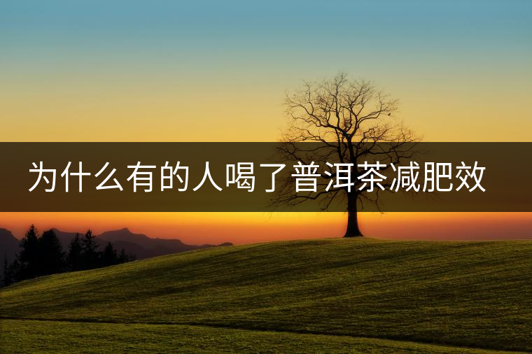 為什么有的人喝了普洱茶減肥效果不明顯呢？