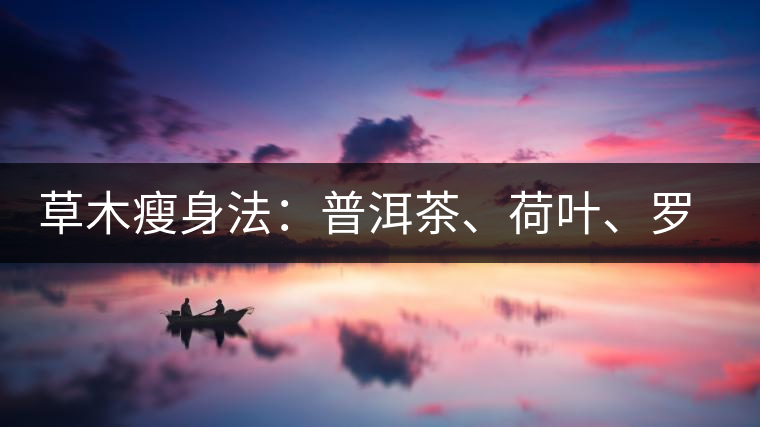 草木瘦身法：普洱茶、荷葉、羅漢果