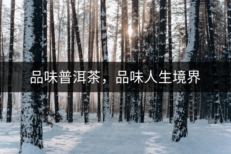 品味普洱茶，品味人生境界