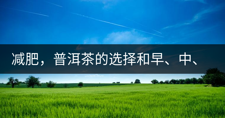 減肥，普洱茶的選擇和早、中、晚的喝法